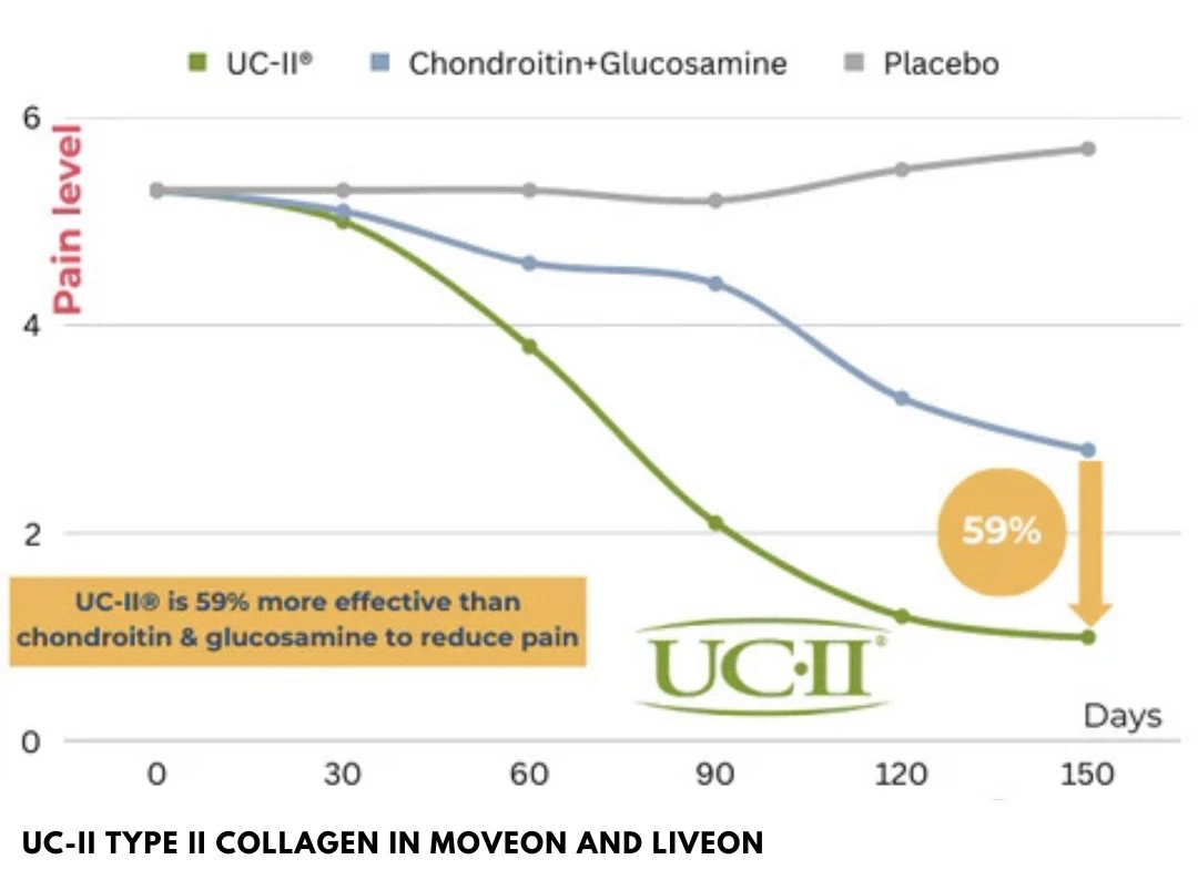 UC-II clinical comparison against glucosamine and chondroitin